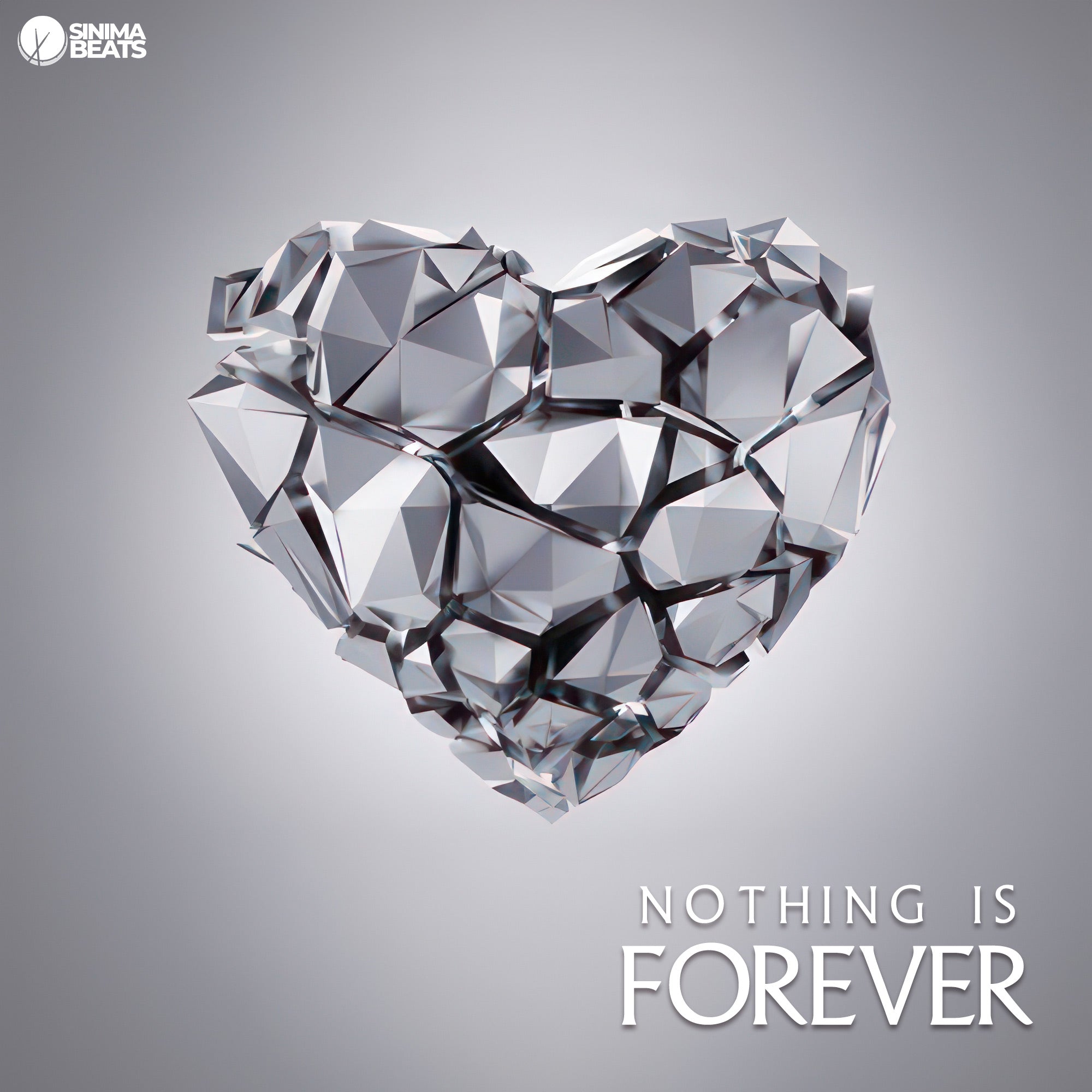 A visually compelling illustration featuring metallic fragments clustered together to form a heart shape against a gray background. The scattered and fragmented nature of the heart symbolizes the transient and impermanent essence of emotions and relationships. The image captures the theme of "Nothing Is Forever," emphasizing the ephemeral nature of experiences and connections.