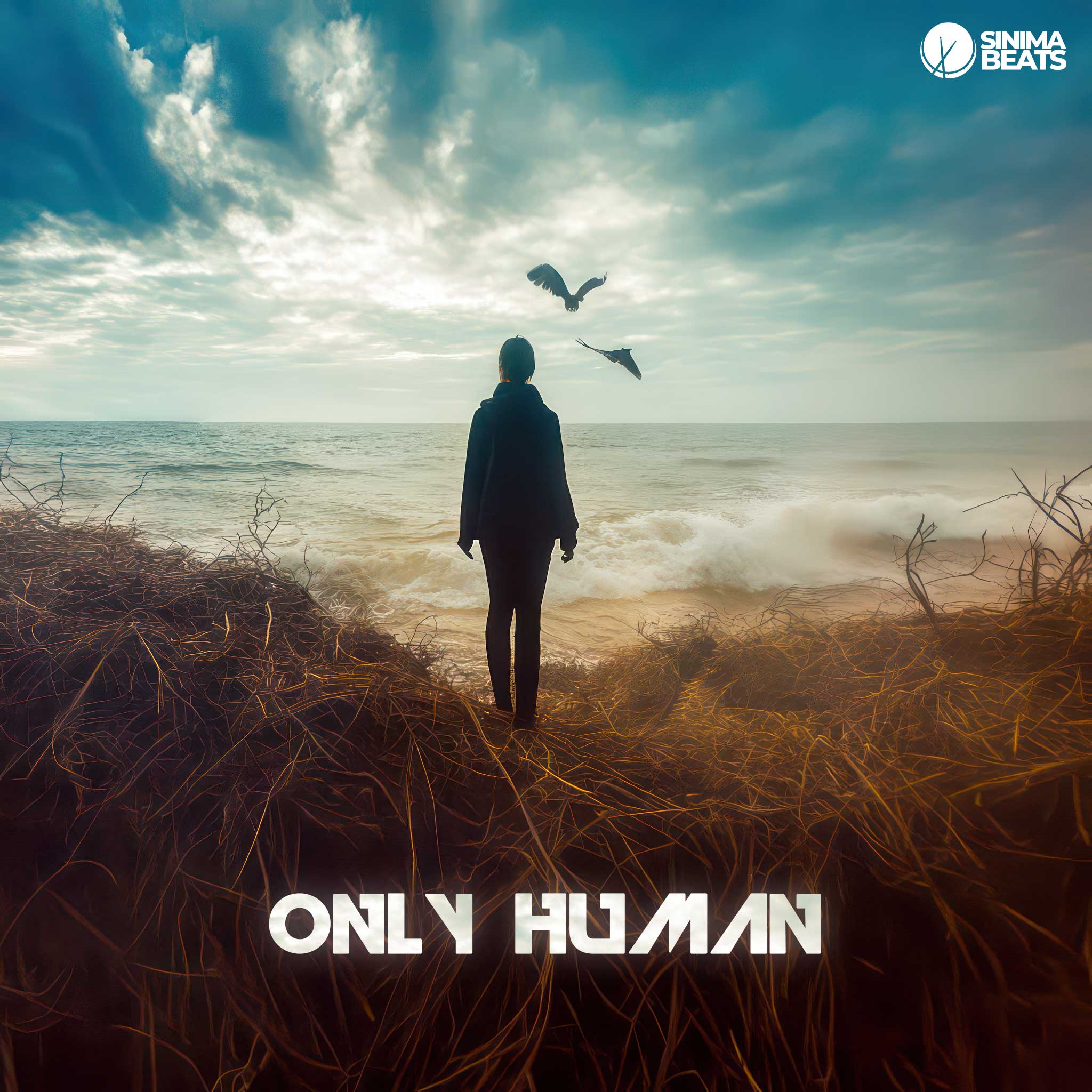A woman stands alone on a beach, surrounded by scattered twigs, with the vast ocean stretching out before her. Two birds fly overhead, their silhouettes stark against the sky, symbolizing freedom and the connection between humanity and nature. The scene captures a moment of introspection, emphasizing the theme of being "Only Human." The solitary figure and the natural elements around her reflect a sense of vulnerability, contemplation, and the intricate bond between the human spirit and the environment.