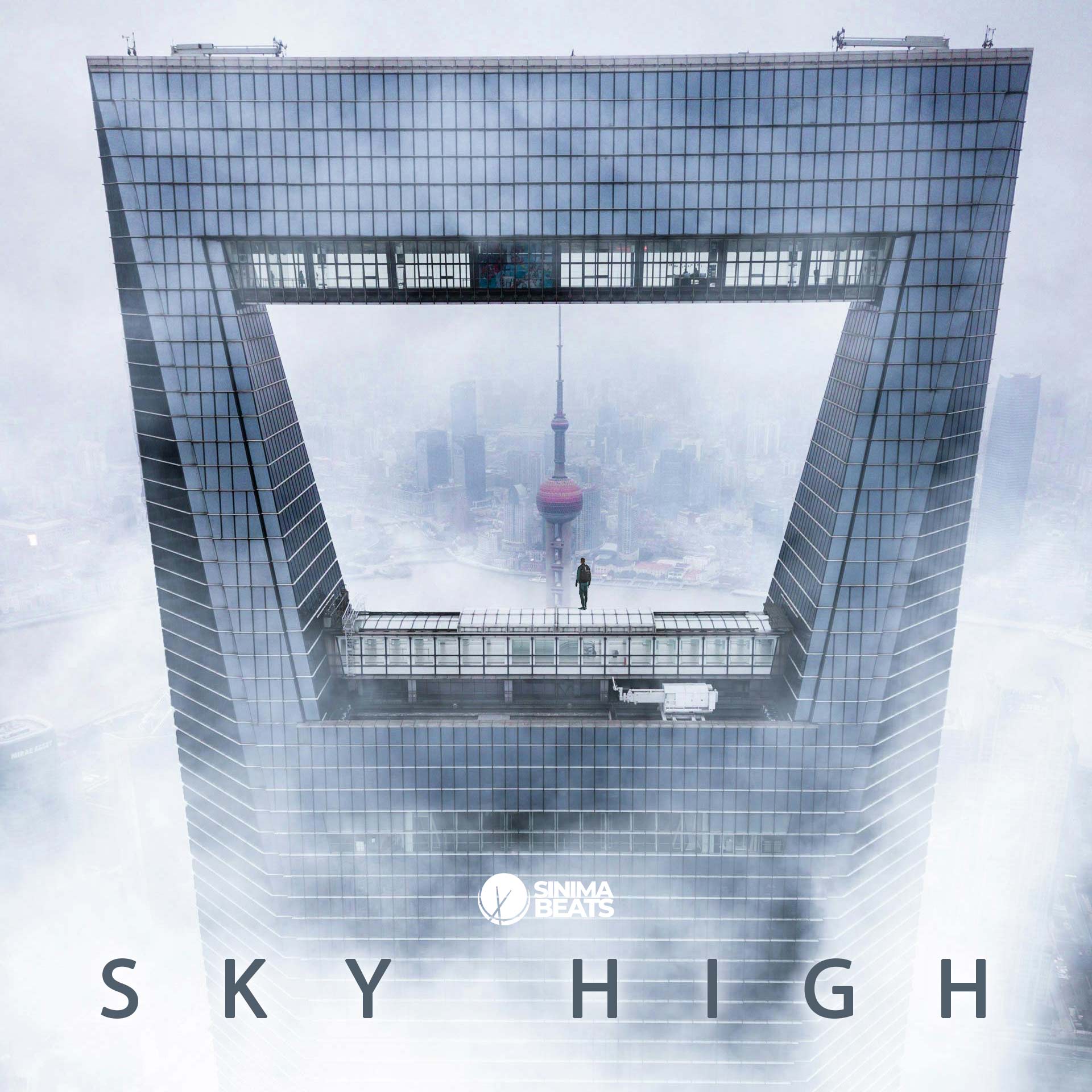 A man stands atop a sky-high skyscraper rooftop overlooking a dramatic cityscape under cloudy skies, capturing the perfect gritty hip-hop aesthetic. This powerful visual makes an ideal cover art concept for Sinima Beats, blending urban energy with a cinematic skyline backdrop. - Sky High by SINIMA BEATS